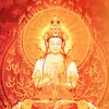 nguyn.sinh489
