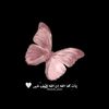 user6222905514581
