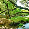 sousoubenour