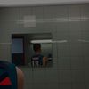 julin_2011