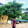 mohammadrakib0623
