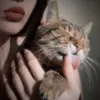 lilolilou8