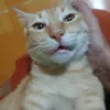 user2541157051700