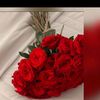 user5561499775581