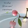 samira.habibi22