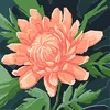 sahraahmed487