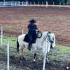 iuri.santos8