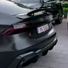 lorenzo_eagle
