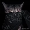 youresuperstarkhanov