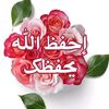 user78228820881717