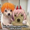 vtpower28