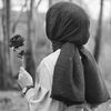 sinir494