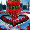user71170796503148