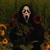 anonim0_2310