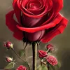 asare624