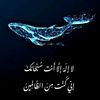amiraham73
