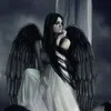 amjadcruz5
