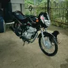 mr_renz5