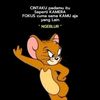 tanpajudul44