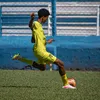 cardoso_00111