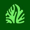 RootGrowings