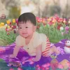 iam.ahn17_