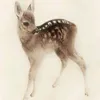 t.leeknowsaurus.01