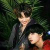 btsbloom2