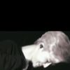 jaemin.s_universe