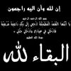 ayloul980