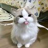 leeyujinkawaii