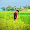 choto..nobab__77