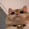 martinacastellano327