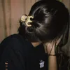 gwll.pary5