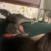 not_quite_sure3