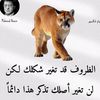 user7856963131394