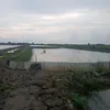 phandhai