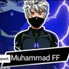 muhammadashrafi4