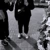 футажи💗