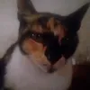 geraldina.montes