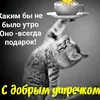 lenok.2305