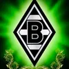 www.vfl1900