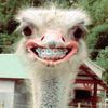 zx_58.amm