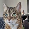 rebeccagill274