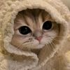 myo.thida.myo.thi