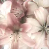 3_m1.lyy