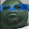 notinsanito
