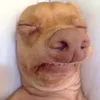 marthaawawawa
