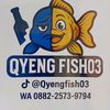 admin_oyengfish03