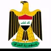 ali_qq81